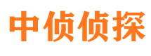 池州市场调查